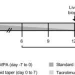 Donor-derived regulatory dendritic cell infusion and early immunosuppressive drug withdrawal in living-donor liver transplantation: a phase I/IIa trial