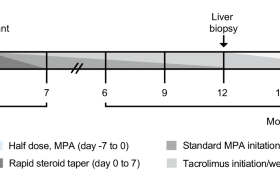 Donor-derived regulatory dendritic cell infusion and early immunosuppressive drug withdrawal in living-donor liver transplantation: a phase I/IIa trial