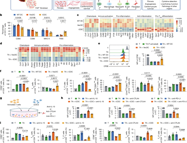 Engineered immunosuppressive dendritic cells protect against cardiac remodelling