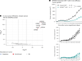Engineering metabolite-sensing NK and T cells to target solid tumors