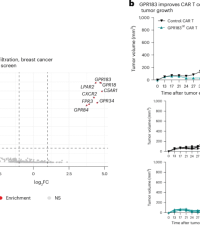 Engineering metabolite-sensing NK and T cells to target solid tumors