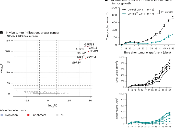 Engineering metabolite-sensing NK and T cells to target solid tumors