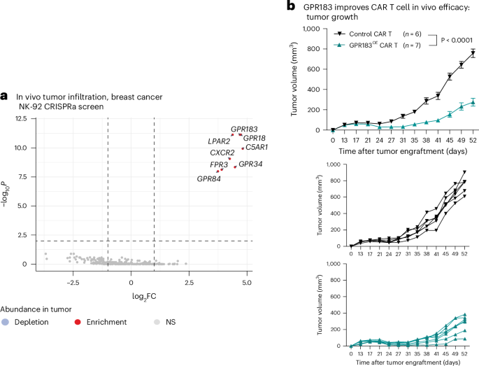 Engineering metabolite-sensing NK and T cells to target solid tumors