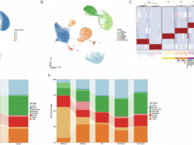 FOLR3+neutrophils contribute to sepsis by exacerbating hyper-inflammation