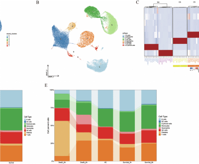 FOLR3+neutrophils contribute to sepsis by exacerbating hyper-inflammation