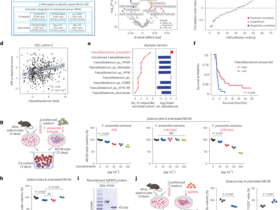 Faecalibacterium prausnitzii enzyme reprograms PD-L1 trafficking and sensitizes colorectal cancer to immunotherapy in mice