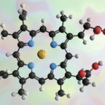 Haem from stressed mitochondria can drive T cell exhaustion