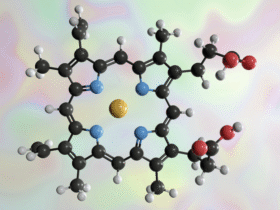 Haem from stressed mitochondria can drive T cell exhaustion