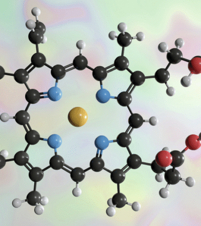 Haem from stressed mitochondria can drive T cell exhaustion