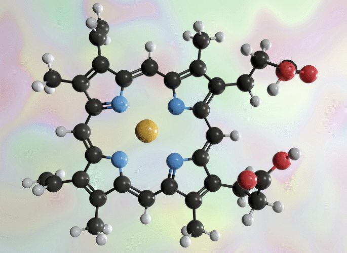 Haem from stressed mitochondria can drive T cell exhaustion