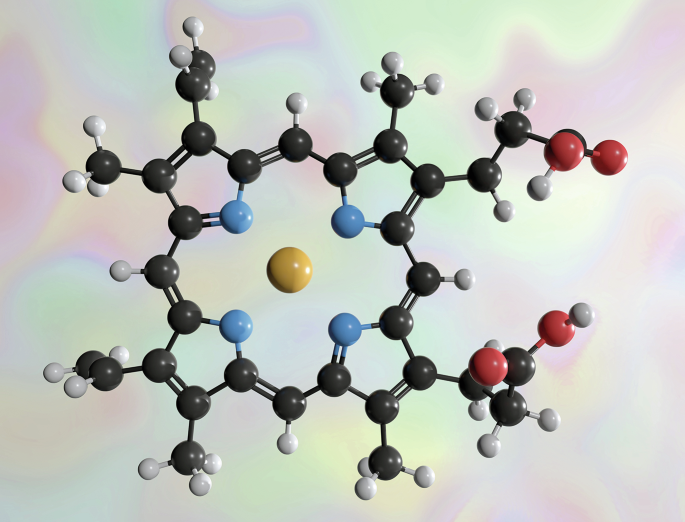 Haem from stressed mitochondria can drive T cell exhaustion