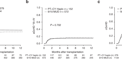 Haploidentical transplantation with post-transplant cyclophosphamide is not inferior to 9/10-MUD transplantation with ATG in patients with myeloid malignancies