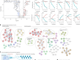 High-content CRISPR activation screens identify synthetically lethal RNA-based mechanisms to sensitize cancer cells to targeted T cell cytotoxicity