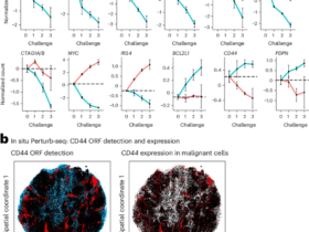 High-content genetic screens identify RNA-based mechanisms to target immune evasion