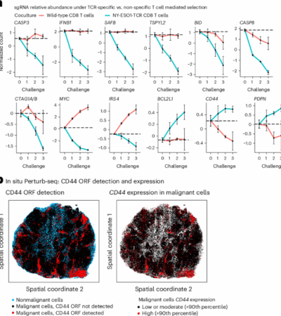 High-content genetic screens identify RNA-based mechanisms to target immune evasion