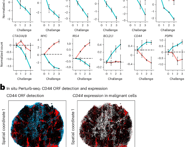 High-content genetic screens identify RNA-based mechanisms to target immune evasion