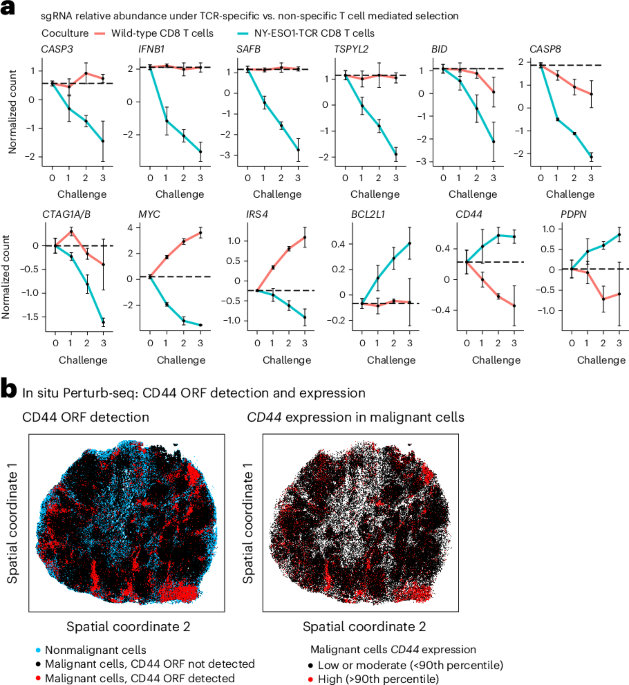 High-content genetic screens identify RNA-based mechanisms to target immune evasion