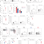 IL-9 and Blimp-1 protect the transcriptional identity of group 2 innate lymphocytes in allergic asthma