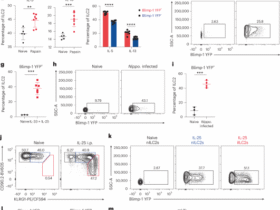 IL-9 and Blimp-1 protect the transcriptional identity of group 2 innate lymphocytes in allergic asthma