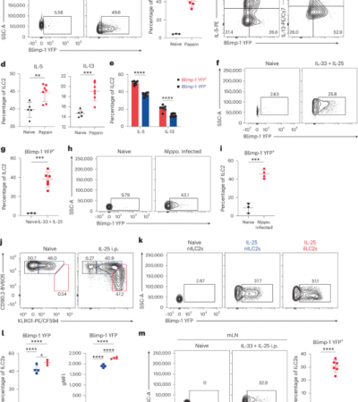 IL-9 and Blimp-1 protect the transcriptional identity of group 2 innate lymphocytes in allergic asthma