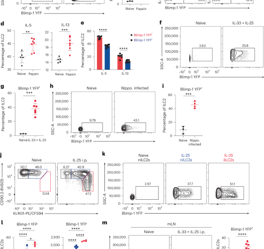 IL-9 and Blimp-1 protect the transcriptional identity of group 2 innate lymphocytes in allergic asthma
