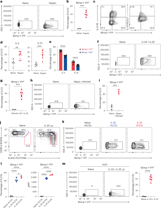 IL-9 and Blimp-1 protect the transcriptional identity of group 2 innate lymphocytes in allergic asthma