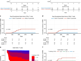 Immune reconstitution in patients with myelofibrosis conditioned with a non-myeloablative regimen prior to allogeneic stem cell transplantation