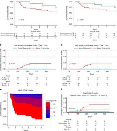 Immune reconstitution in patients with myelofibrosis conditioned with a non-myeloablative regimen prior to allogeneic stem cell transplantation