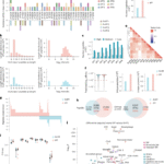 Immunopeptidome profiling in pulmonary fibrosis provides a platform for identifying therapeutic targets