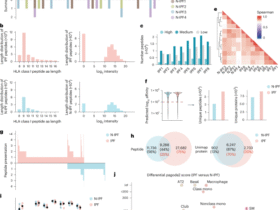 Immunopeptidome profiling in pulmonary fibrosis provides a platform for identifying therapeutic targets
