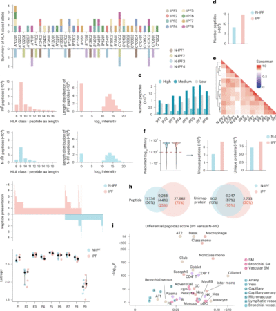 Immunopeptidome profiling in pulmonary fibrosis provides a platform for identifying therapeutic targets