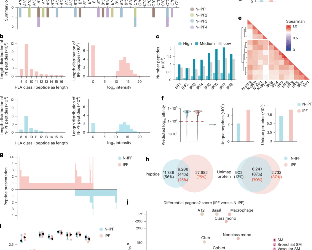 Immunopeptidome profiling in pulmonary fibrosis provides a platform for identifying therapeutic targets