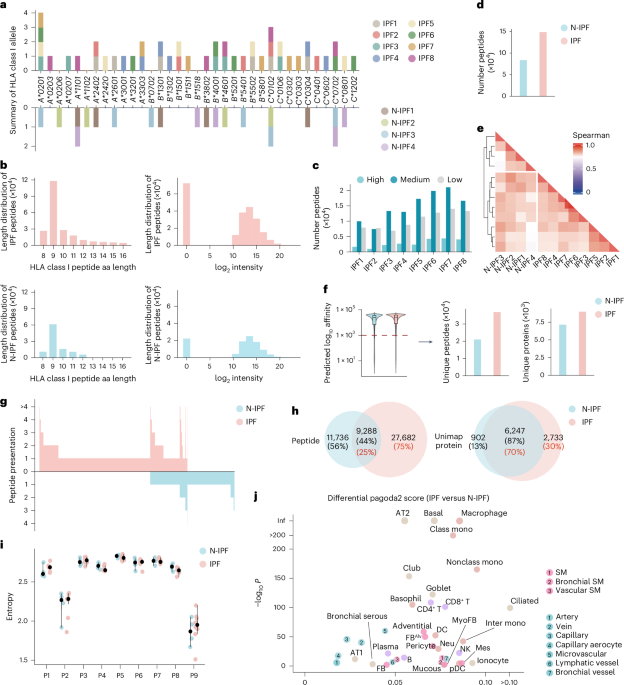 Immunopeptidome profiling in pulmonary fibrosis provides a platform for identifying therapeutic targets