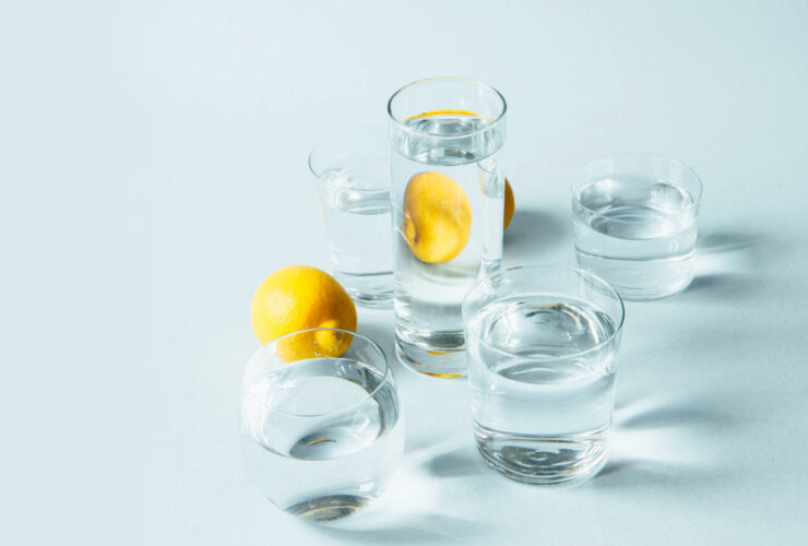 Intermittent Fasting Could Help Treat Addiction, Study Finds