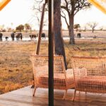 Into the wild: a luxury eco-safari in southern Africa worth the journey