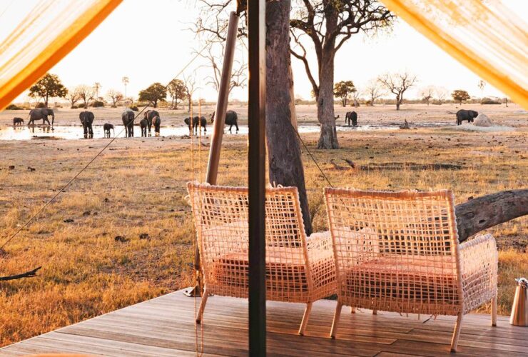 Into the wild: a luxury eco-safari in southern Africa worth the journey