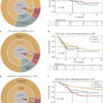Lethal clinical outcome and immune desert contexture in refractory gastric cancer harboring CCNE1 amplification and overexpression