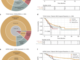 Lethal clinical outcome and immune desert contexture in refractory gastric cancer harboring CCNE1 amplification and overexpression