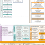 Low-plastic diet and urinary levels of plastic-associated phthalates and bisphenols: the randomized controlled PERTH Trial