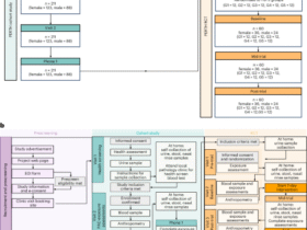 Low-plastic diet and urinary levels of plastic-associated phthalates and bisphenols: the randomized controlled PERTH Trial