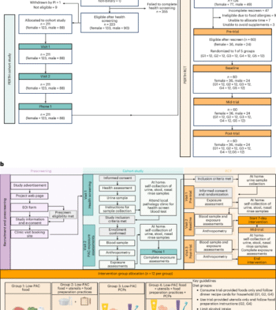 Low-plastic diet and urinary levels of plastic-associated phthalates and bisphenols: the randomized controlled PERTH Trial