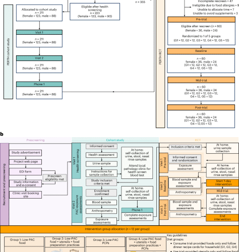 Low-plastic diet and urinary levels of plastic-associated phthalates and bisphenols: the randomized controlled PERTH Trial