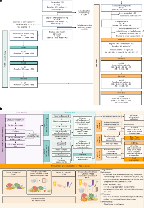 Low-plastic diet and urinary levels of plastic-associated phthalates and bisphenols: the randomized controlled PERTH Trial