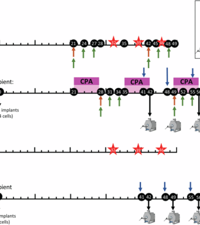 MRI of combination immunotherapy in an epithelial ovarian cancer preclinical model