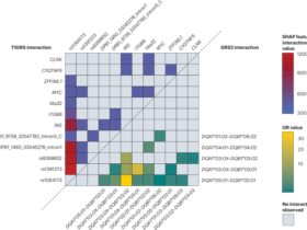 Machine learning in prediction and classification of type 1 diabetes