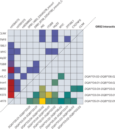 Machine learning in prediction and classification of type 1 diabetes