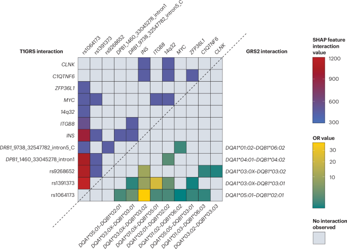 Machine learning in prediction and classification of type 1 diabetes