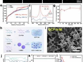 Macrophage metabolic reprogramming by vanadium released from glucose-responsive bio-gel accelerates diabetic wound repair