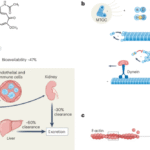 Mechanisms and therapeutic potential of colchicine in atherosclerotic cardiovascular disease