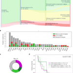 Mutational landscape changes of AML in patients relapsing after allogeneic hematopoietic cell transplantation